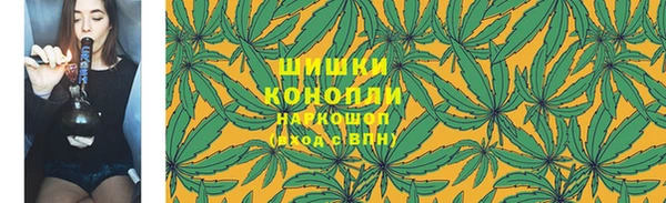 PSILOCYBIN Абаза
