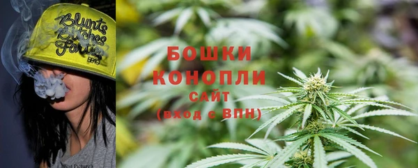 PSILOCYBIN Абаза