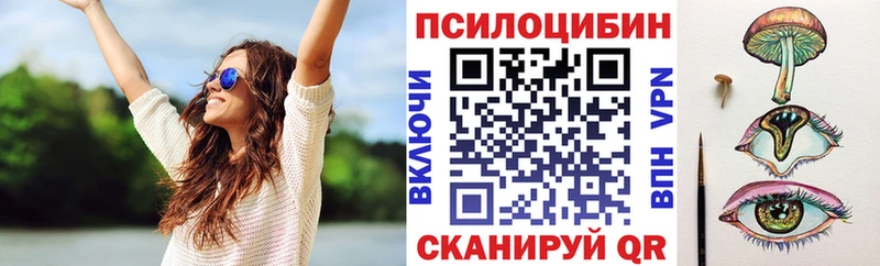 mega как войти  Ясный  Псилоцибиновые грибы MAGIC MUSHROOMS 